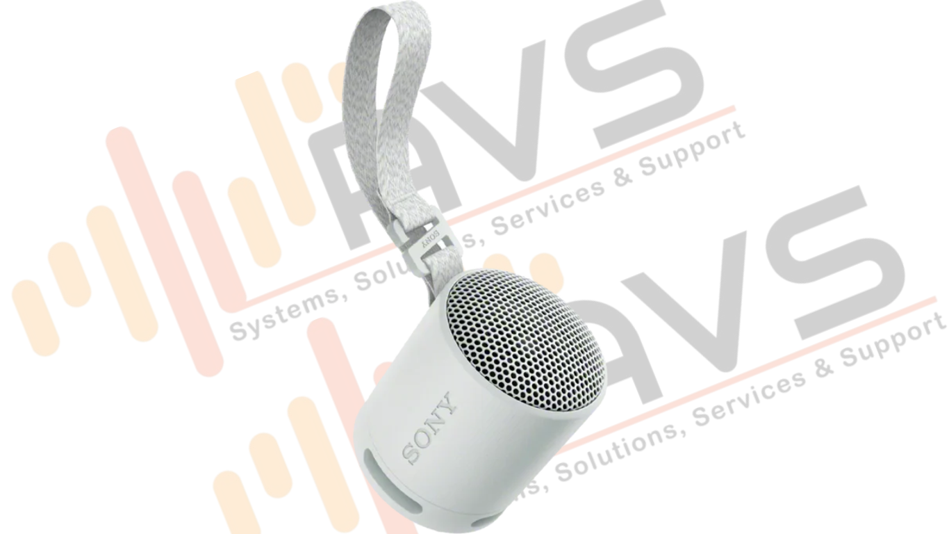 SONY SRS-XB100